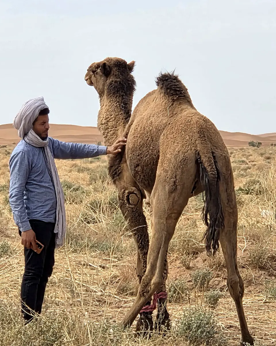 Trips Safari guide in the desert