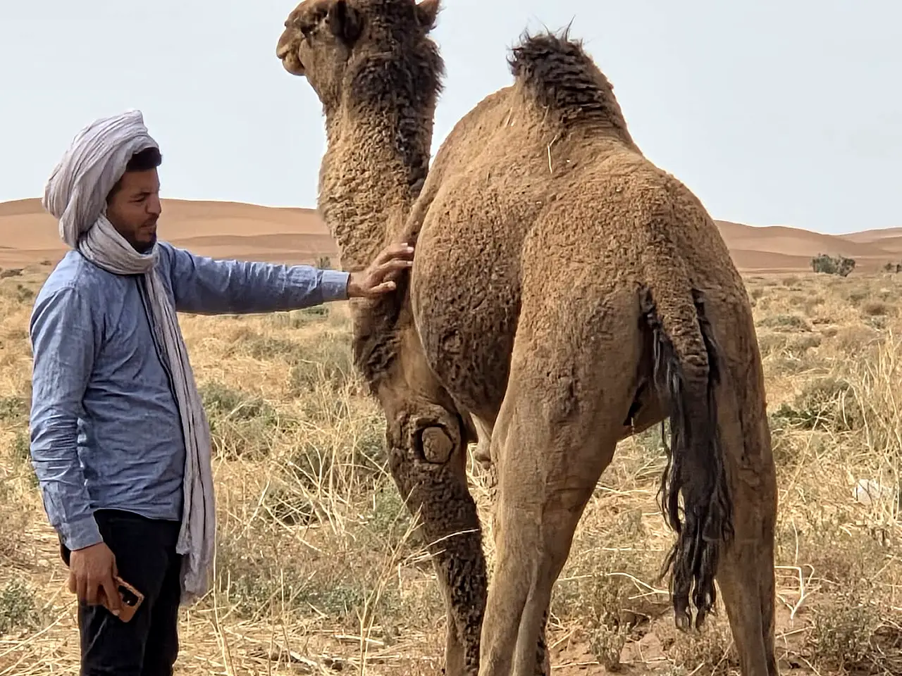 Camel Trek in the Dunes