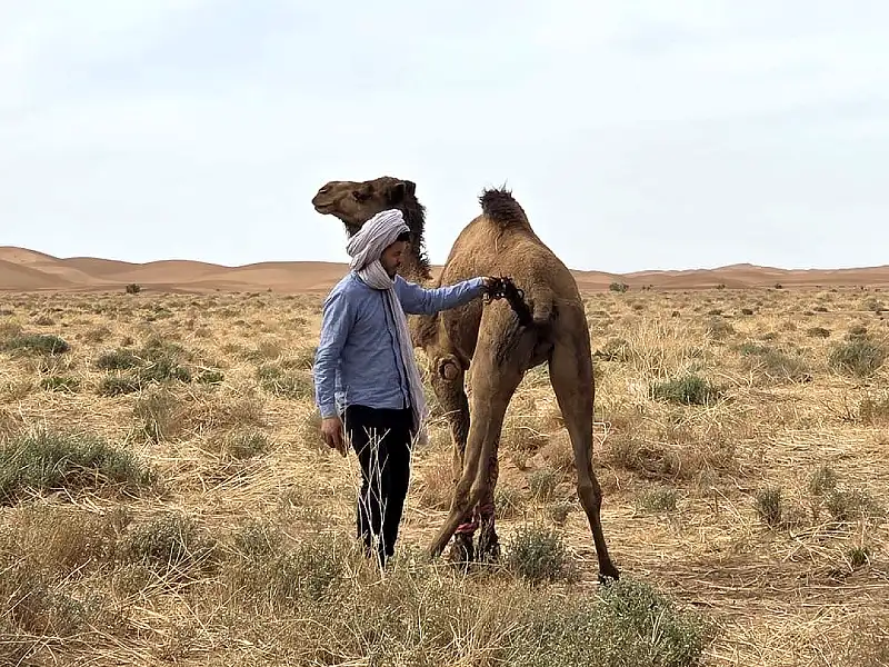 2-Day Marrakech Desert Tour