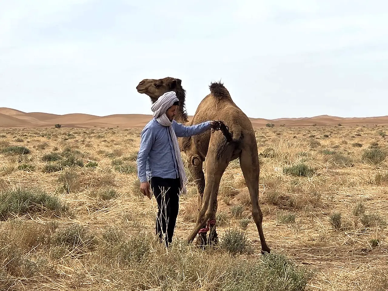 2-Day Marrakech Desert Tour